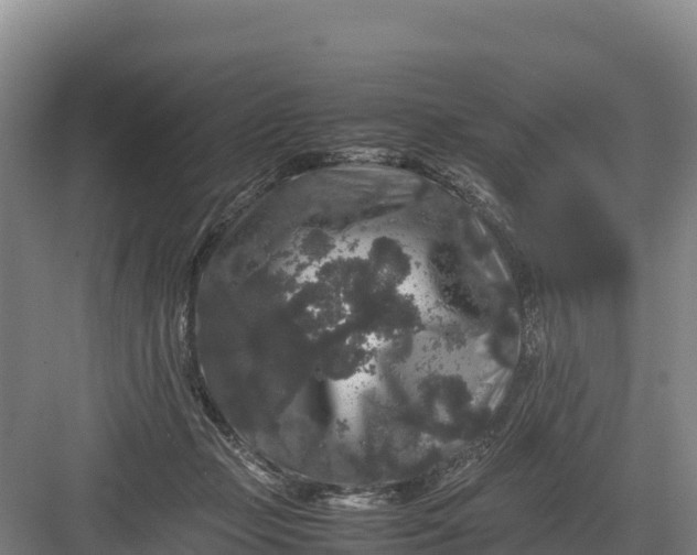 X0000082970365200702152338