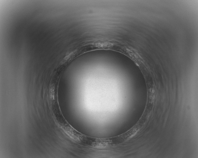 X0000082970368200702152338