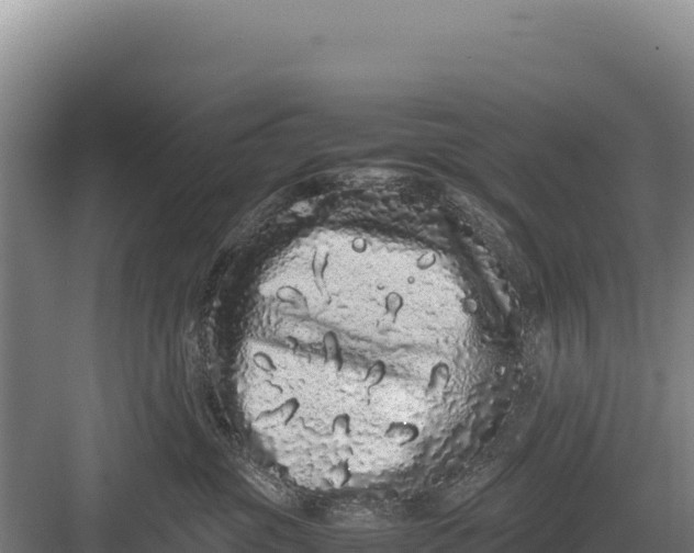 X0000082970381200702152338