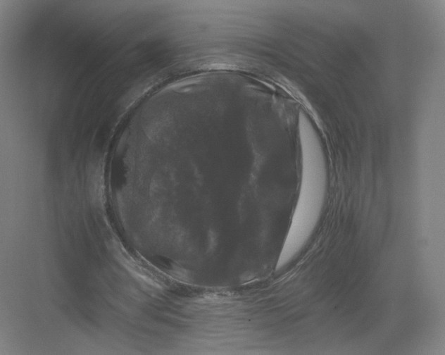 X0000082970386200702152337