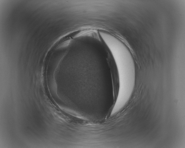 X0000082970387200702152337