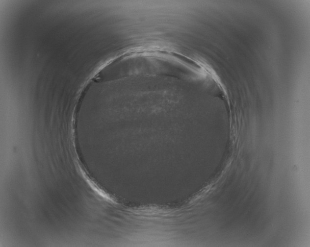 X0000082970389200702152337
