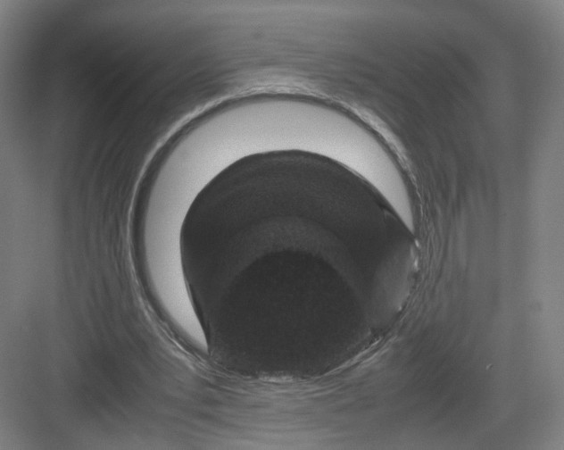 X0000082970391200702152337