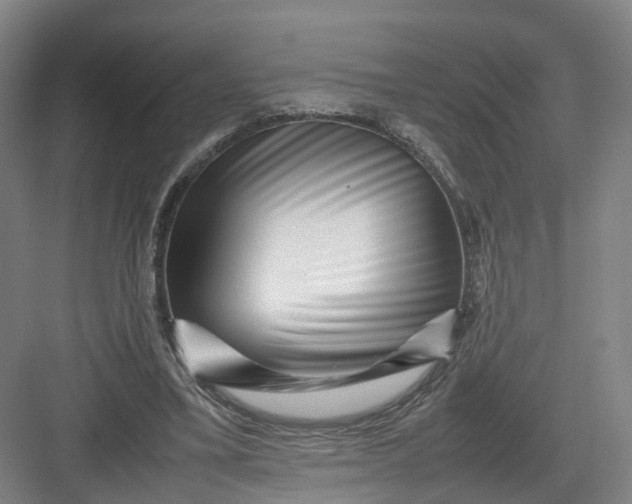 X0000082970395200702152337