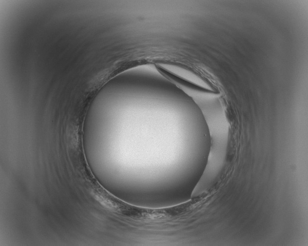 X0000082970401200702152337
