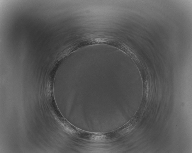 X0000082970410200702152337