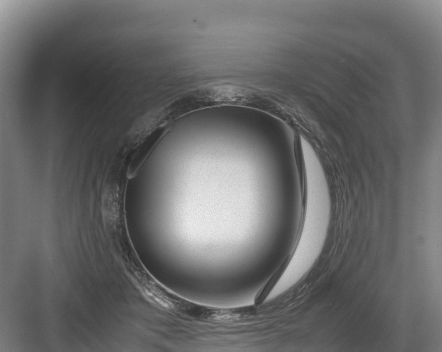 X0000082970413200702152337