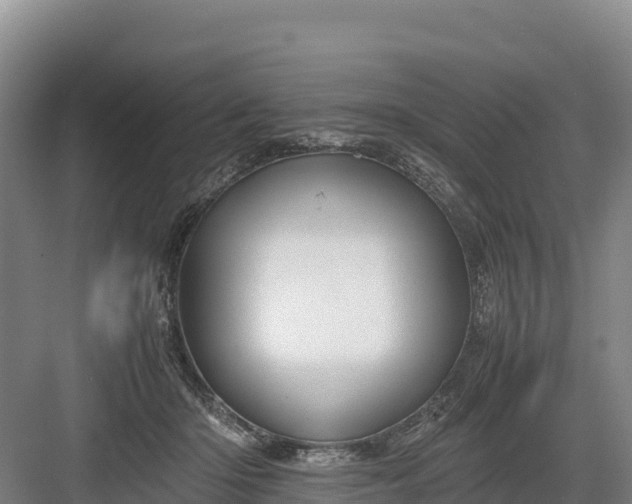 X0000082970414200702152337