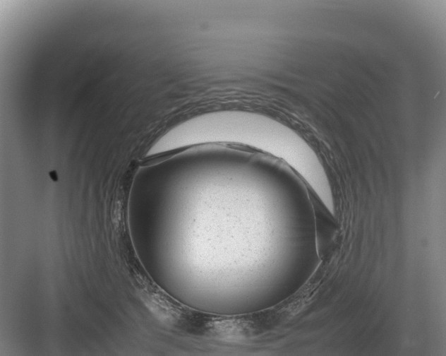 X0000082970417200702152337