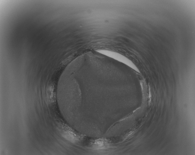 X0000082970420200702152337