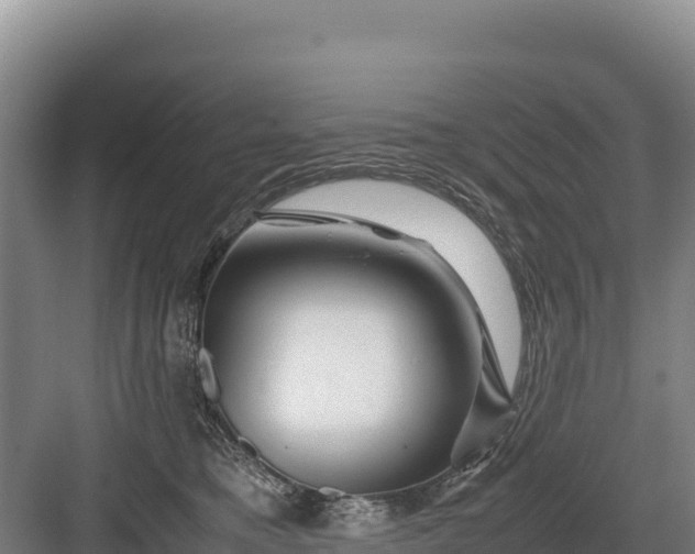 X0000082970421200702152337