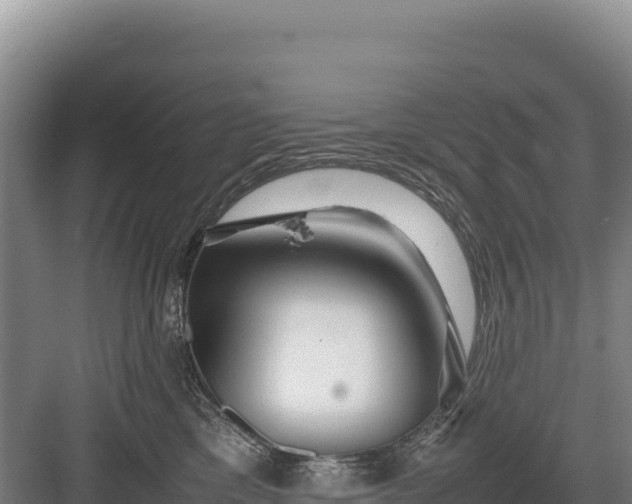 X0000082970425200702152336