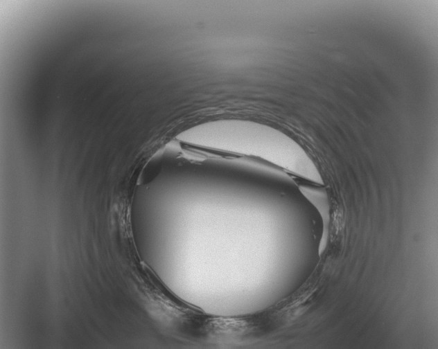 X0000082970429200702152336