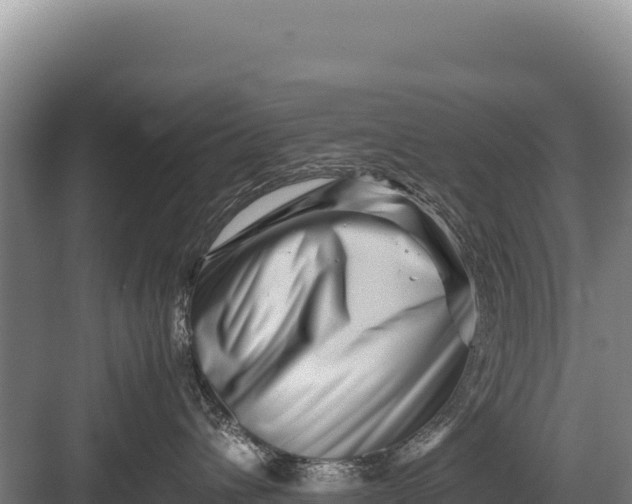 X0000082970432200702152336