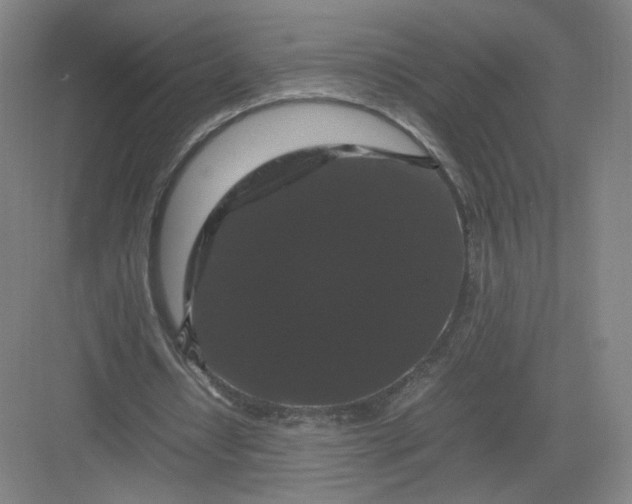 X0000082970434200702152336