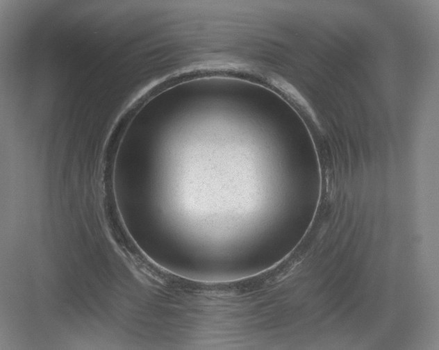 X0000082970436200702152336