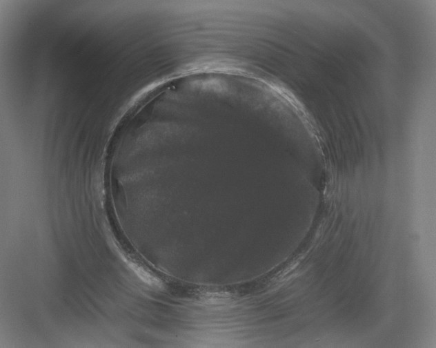 X0000082970438200702152336