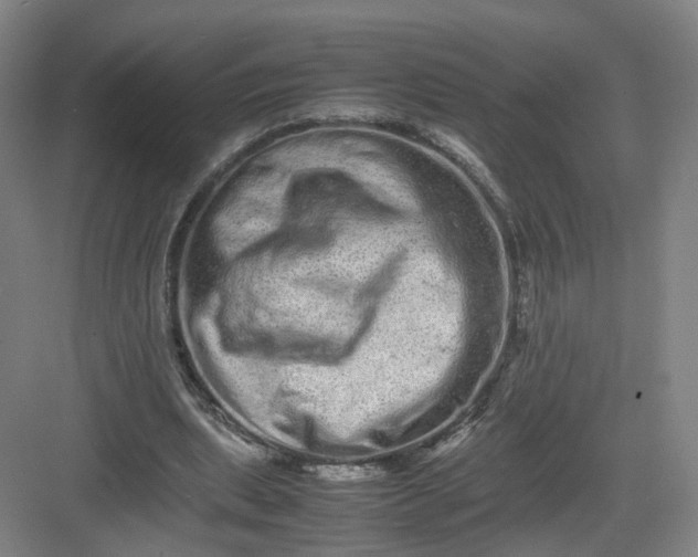 X0000082970439200702152336