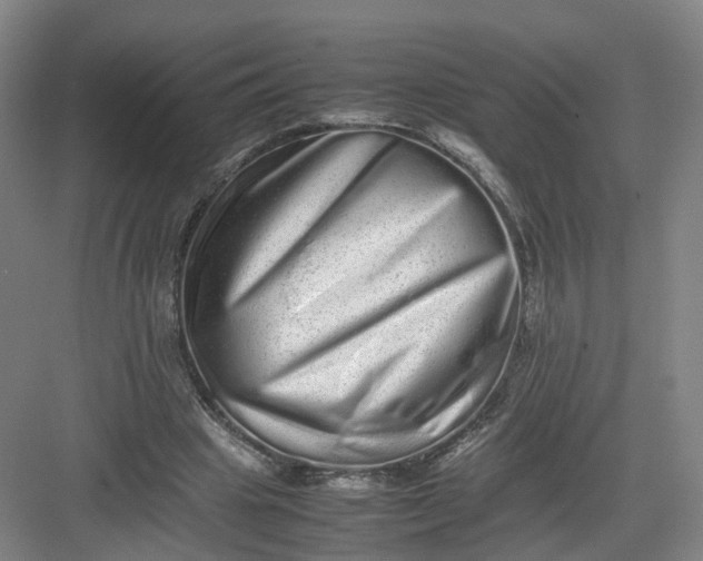 X0000082970441200702152336