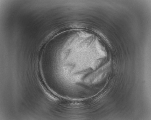 X0000082970445200702152336