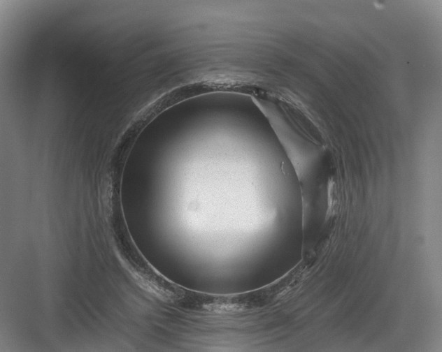 X0000082970448200702152336