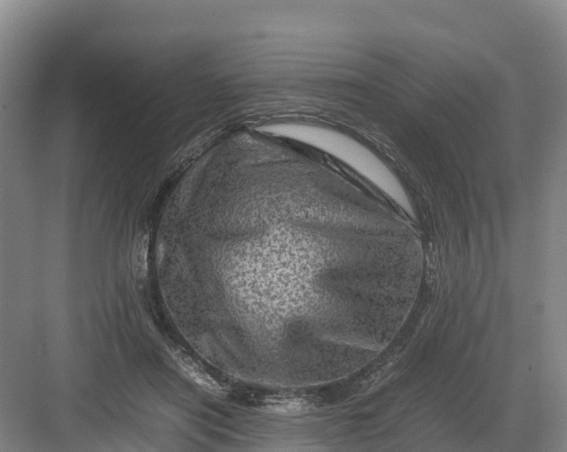 X0000082970454200702152336