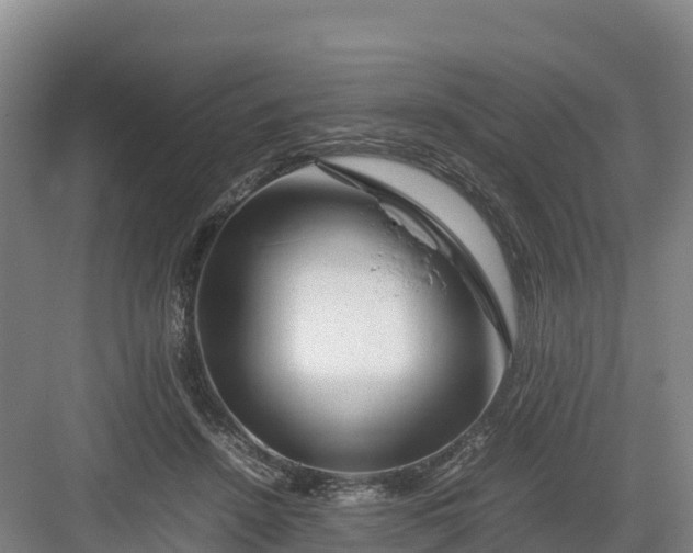 X0000082970456200702152336