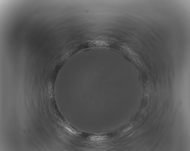 X0000082970465200702152336
