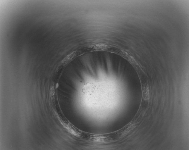 X0000082970472200702152336