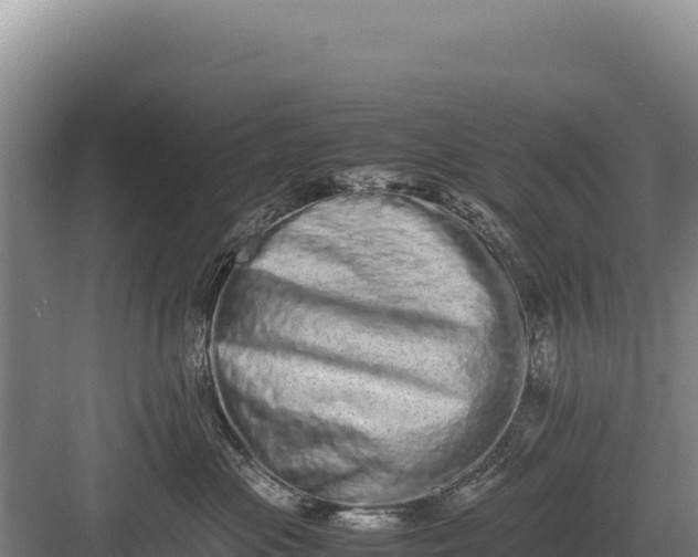 X0000082970477200702152336