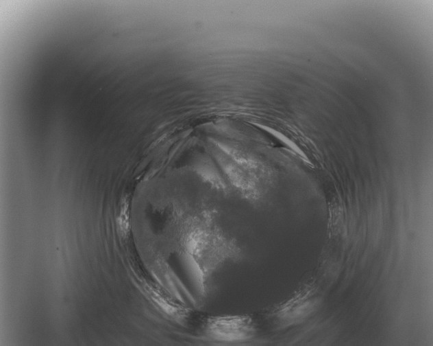 X0000082970479200702152336