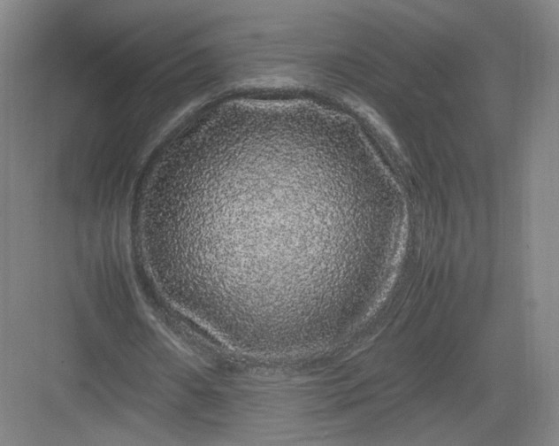 X0000082970482200702152336