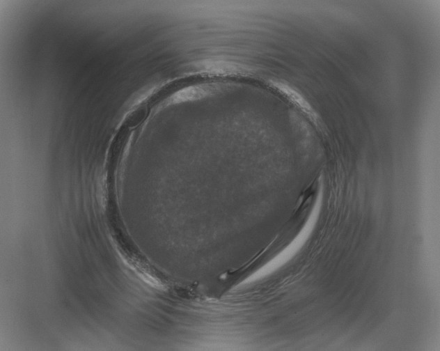 X0000082970488200702152335