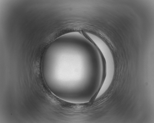 X0000082970497200702152335