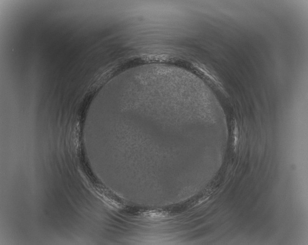 X0000082970498200702152335