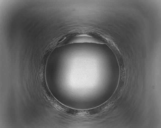 X0000082970505200702152335