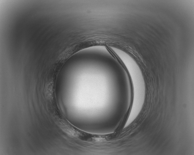 X0000082970509200702152335