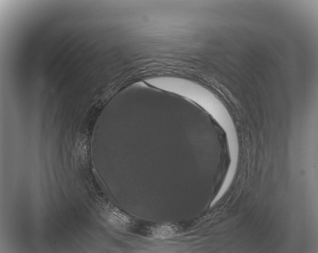 X0000082970513200702152335
