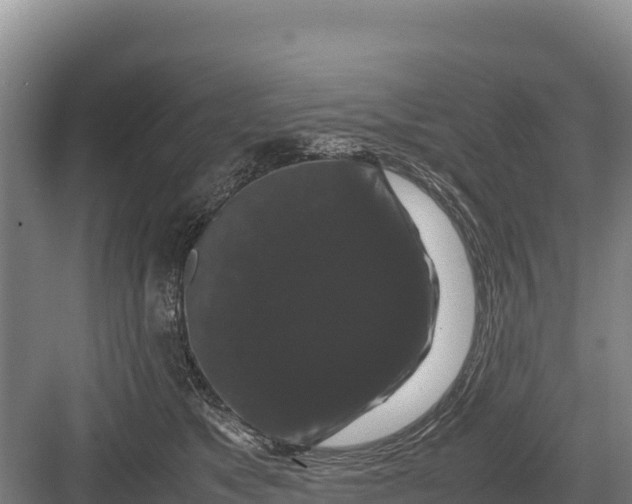 X0000082970517200702152335