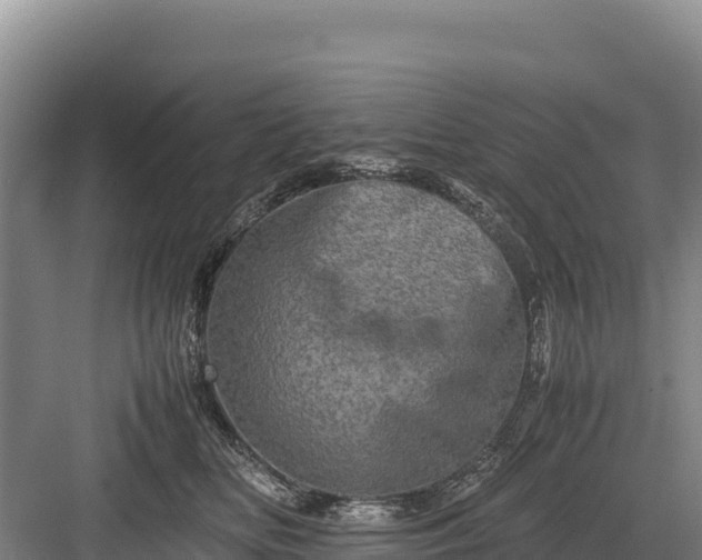 X0000082970518200702152335