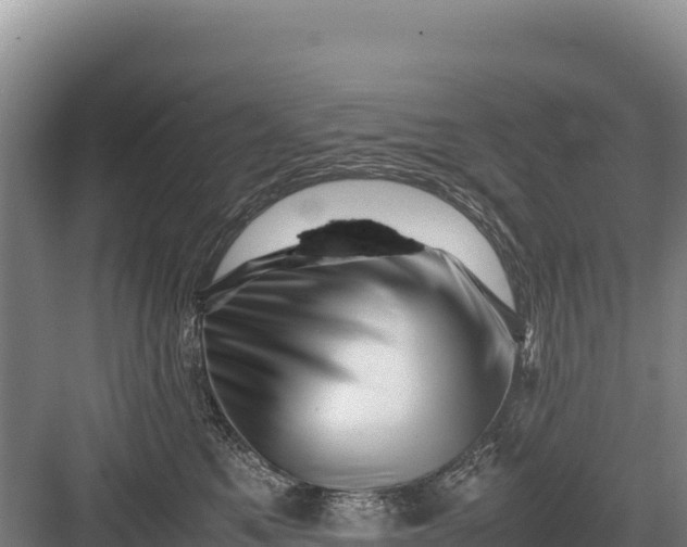 X0000082970521200702152335