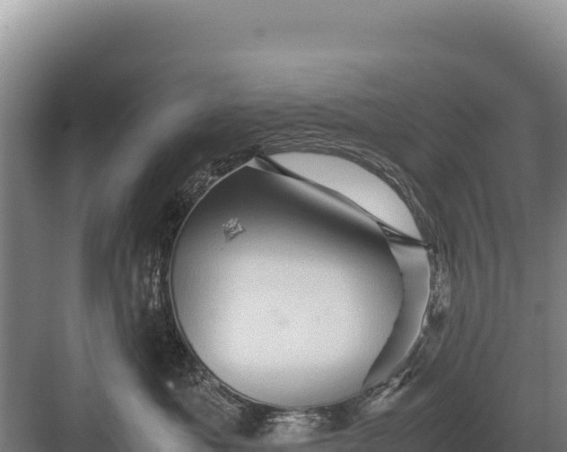 X0000082970525200702152335