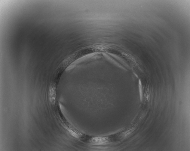 X0000082970526200702152335