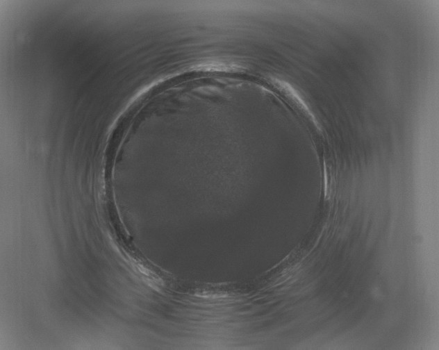X0000082970531200702152334