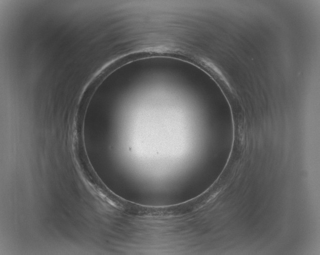 X0000082970532200702152334