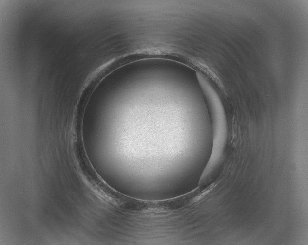 X0000082970536200702152334