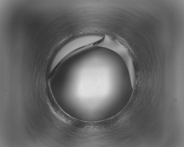 X0000082970538200702152334