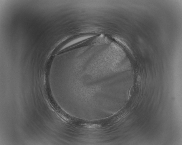 X0000082970539200702152334
