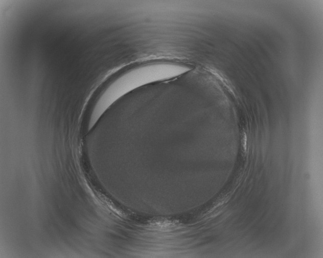 X0000082970540200702152334