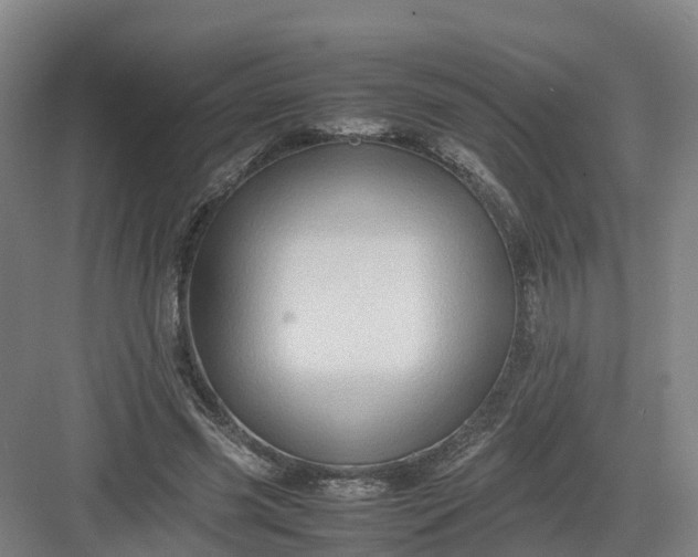 X0000082970541200702152334